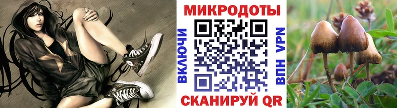 Псилоцибиновые грибы Magic Shrooms  Купить  Муравленко 