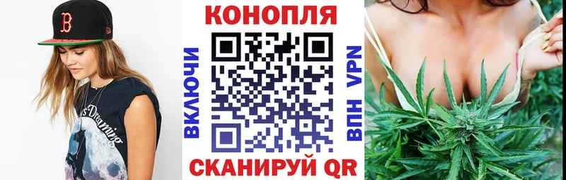 Канабис индика Муравленко